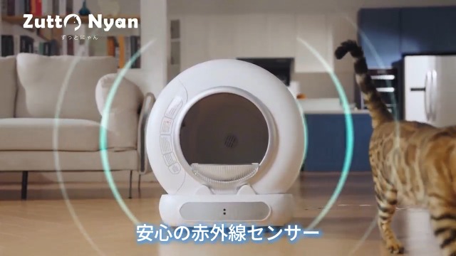 Amazon | Zutto Nyan 自動猫トイレ ＋ 固まるおから猫砂4in1（消臭力
