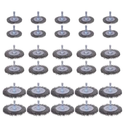 30 Pack Carbon Steel Wire Wheel Brushes