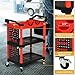 DWVO Auto Detailing Cart with Wheels, 3-Tier Rolling Tool Organizer with 2 Polisher Brackets, 17