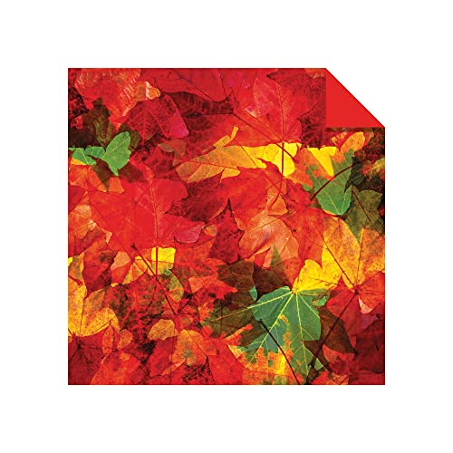 Origami Paper 200 Sheets Nature Photos 8 1/4