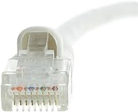 Vista 4 de CableWholesale Cable Ethernet Cat6, 24AWG, conector de placa dorada RJ45, 4 pares de cobre trenzado, par trenzado sin blindaje (UTP), cable de Blanco