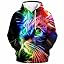 Neon Rainbow Cat