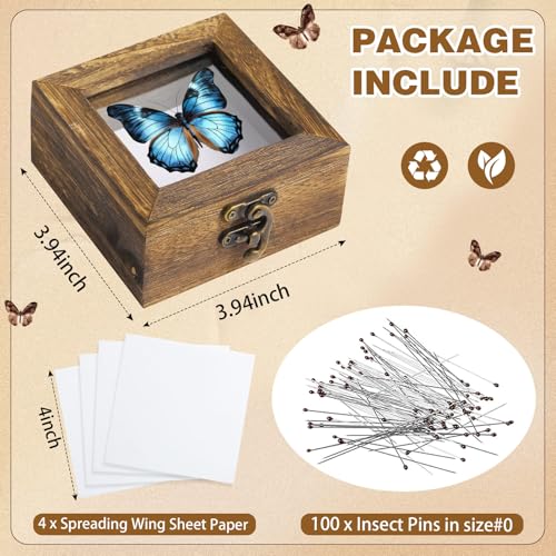 Image of Reallnaive 4 Pcs Insect Pinning Kit 4 inch Wooden Display Case Box, EVA Foam Insect Pinning Board, 100 Bug Pins for Butterfly Specimen Bugs Collection Tools(Carbonized Brown)
