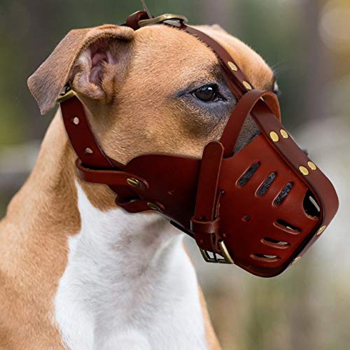 Museau anti-morsure chien marron en cuir taille M pour grand Pitbull