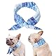 Uposao Kühlhalsband Mit Baseballmütze für Haustiere,Hunde Baseball Cap Sonnenschutz Hut Sommer Reise Hut Outdoor Sport Hut Hundecap Sonnenschutzkappen mit Ohrlöcher Kopftücher Kühlend für Hund, Katze