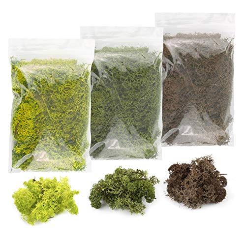 Matériel diorama forêt lichen pour feuillage mousse maquette ferroviaire paysage arbre miniature