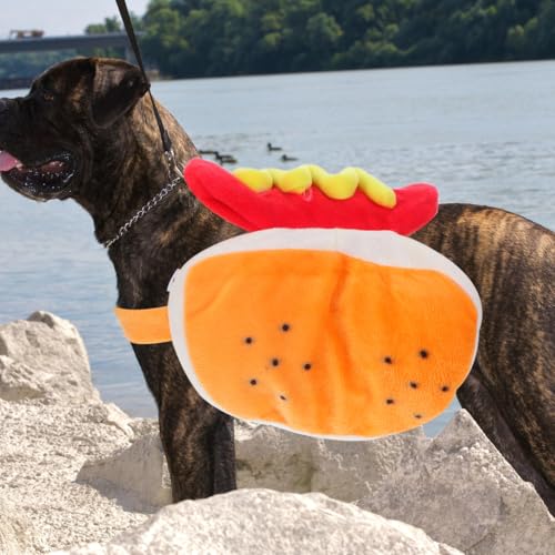Disfraz Halloween liviano para perros y gatos pequeños miniatura 3