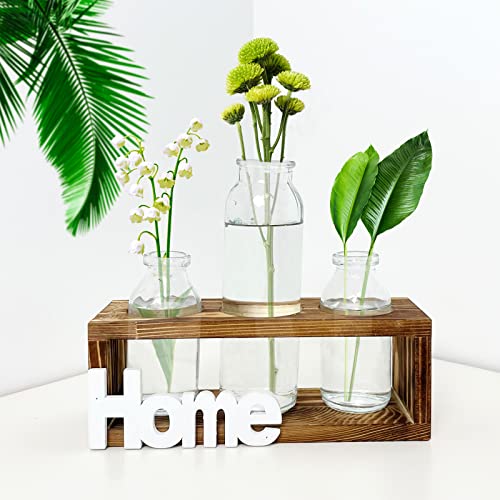 Pflanzgefäß, Terrarien, rustikal, Vintage, Hydrokultur, Blumenvasen, Holzrahmen, 3 Flaschen Cover