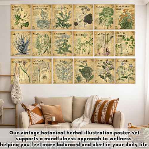 18PCS Vintage Herbal Medicine Posters Holistic Herbal Guide to Health Medicinal Herbs and Uses Posters Botanical Herbs Plant Knowledge Charts for Home Kitchen Herbarium Educational Herb Reference - Image 7