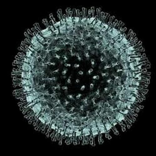 The Bullshit Blog- Epsiode 1 - The Coronavirus
