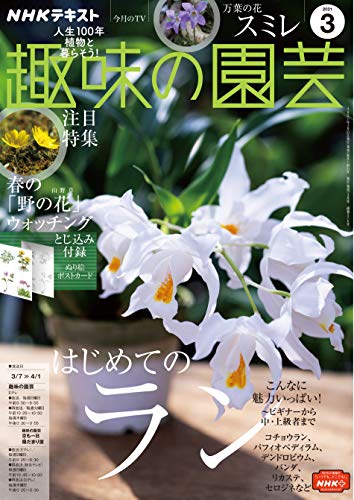 ｎｈｋ 趣味の園芸 21年 3月号 雑誌 Nhkテキスト 日本放送協会 Nhk出版 趣味 その他 Kindleストア Amazon