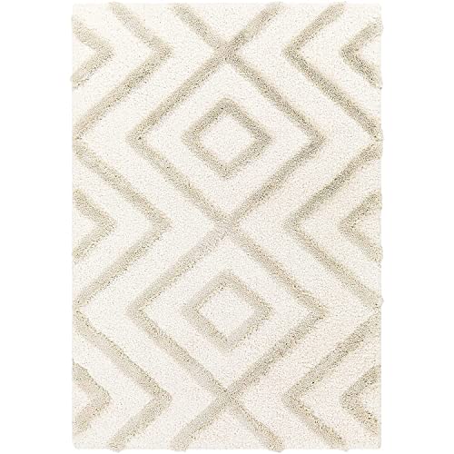 Image of Carpet Mahal Presence Gorgeous Design of Super Soft Shaggy Carpet for Living Room, Bedroom, Hall and Anywhere in Home. [12x18 feet]