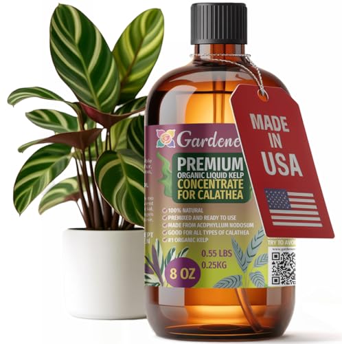 GARDENERA Premium Organic Seaweed & Kelp Superfood for CALATHEA Plants
