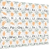 36PCS Eucalyptus ASL Alphabet Line Bulletin Board Set ABC Number Sign Language Flash Cards Alphabet Posters Learning American Sign Language Poster Classroom Wall Decor for Pre-School Home Toddler Kids