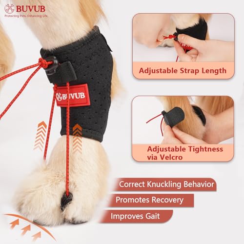 Image of Dog Canine Knuckling Brace Rear Leg Dog Foot Brace Wrap for Toe Dragging Cause by Sciatic Nerve Insufficiency, Myelopathy, Herniated Disc (XLarge)