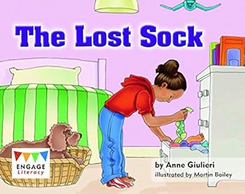 Paperback The Lost Sock Book