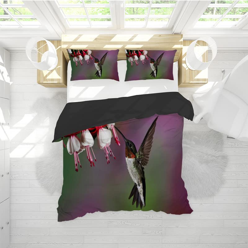 Housse de Couette 240 x 260 en Microfibre Supérieure Parure Lit Oiseau Violet Durable