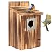 Bird Houses for Outside with Metal Predator Guard for Bluebird Wren Swallow Finch, Carbonized Wooden Nesting Boxes for Outdoor, Sturdy Bird House,Easy to Clean