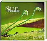 naturfoto  Natur Faszination: Aus NaturFoto