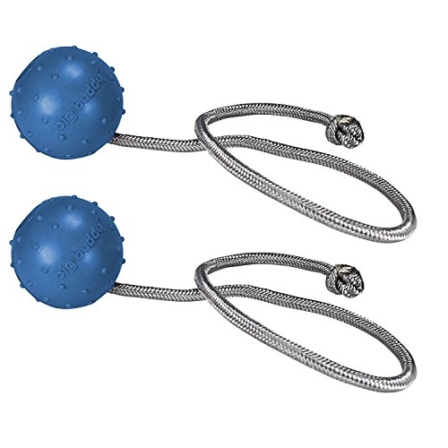 big buddy Perros Balón de Fútbol Caucho Lanzamiento Cuerda Diámetro 2 x Azul