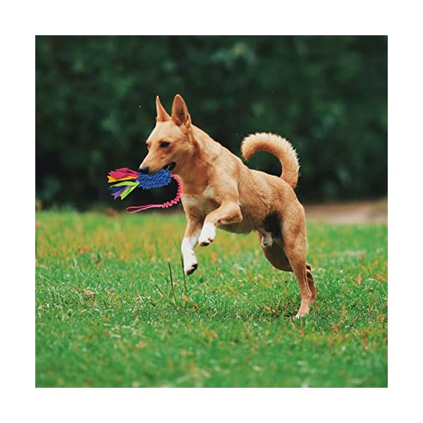 Grip Friendly Large Dog Toy