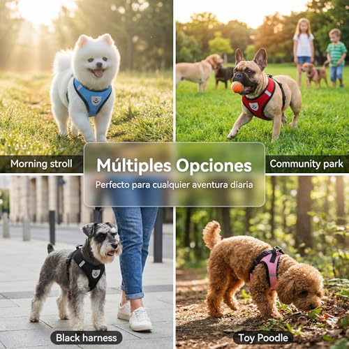 Pecheras para perros 21 Imagen adicional