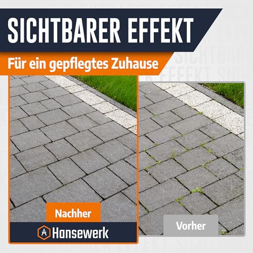 Hansewerk® Abflammgerät mit Piezozündung inkl. Druckregler und 5 Meter Gasschlauch. Unkrautbrenner Unkrautbeseitigung Gasflasche Gasbrenner unkraut brenner unkrautvernichter gas (Silber)
