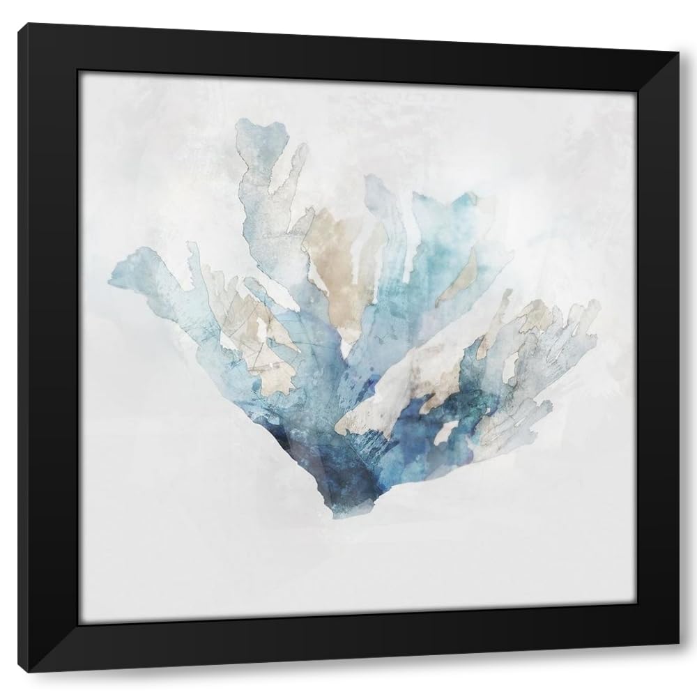 ArtDirect - Roko, Ken 15x15 Black Modern Framed Art Print Titled: Blue Coral Reef I