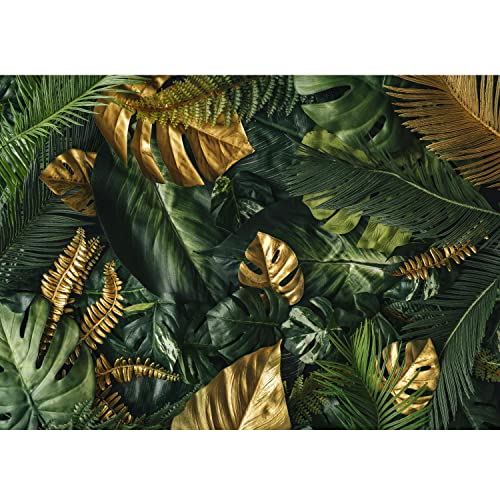 Runa Art Fototapete tropische Blätter Monstera 352 x 250 cm Vlies Tapeten XXL Moderne Wandtapete Wohnzimmer Schlafzimmer grün 9591011a