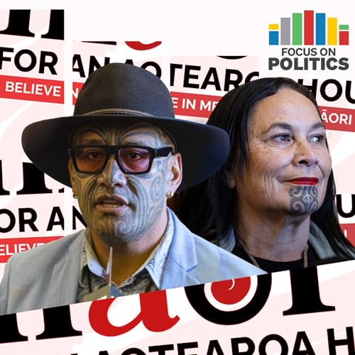 Questions linger after Te Pāti Māori reset cover art