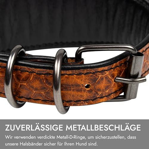 FAVPET Luxus Echtleder Windhund Halsband Breit mit QR Code Anhänger, Weiches Lederhalsband Hund Breit Whippet Italienisches Windspiel Saluki Lurcher Spanischer Galgo Greyhound Podenco (Braun, L)