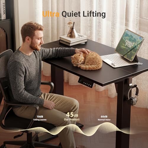 Image of YDN Electric Standing Desk Adjustable Height, 40 x 24 Inches Sit Stand up Desk with Memory Presets & Cable Management, Home Office Desk for Office & Computer Workstation, Black Frame /Black Top