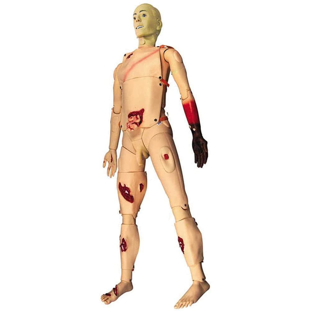 Mannequin De Simulation Avancé pour La Formation Aux Premiers Secours, Mannequin Pédagogique Complet pour Les Soins des Plaies, Outil D'enseignement Médical et Éducatif