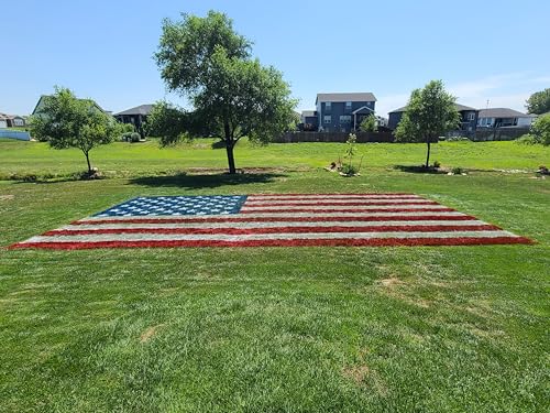 white athletic field marking spray paint - 1 case pack 12 cans 18 oz of paint per can