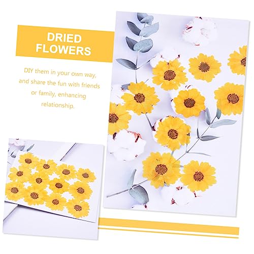Flores secas pressadas para manualidades 72 pcs EXCEART miniatura 2