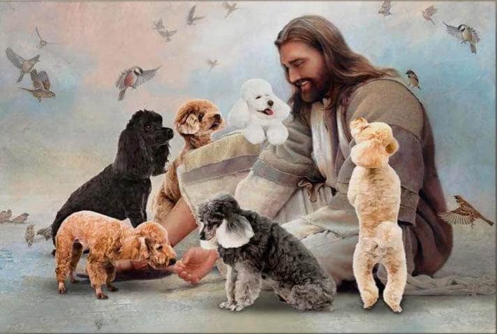 Jigsaw Puzzles for Adults: God and Poodle Dogs, God Surrounded by Dog Angels — 500 Pieces Jigsaw Puzzles Props for Adolescent, Children Educational Game Toys, DIY Collectibles Modern Home Decoration (Content May Vary)