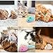 yeeplant Cat Toy Cat 6Pcs Interactive Mouse Cat Cute Toy Toy Catnip Realistic Toy Cat Bite Bite Toy Cat