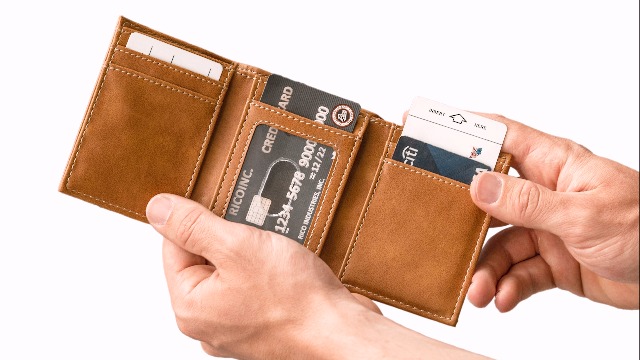 Amazon.com: Rico Industries - Chase Elliott No. 9 - Premium Laser