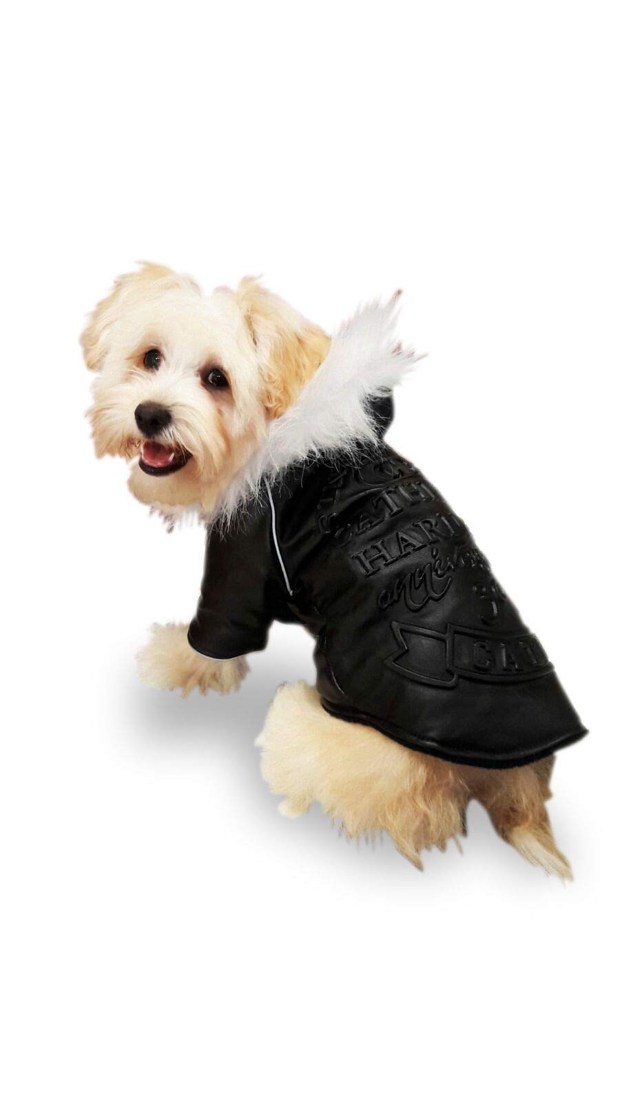 Blouson Seattle Pettribe 20 cm - Veste noire de protection canine hivernale