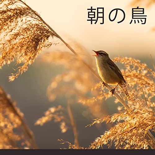 Singing Birds Zone & スパ·ミュージック