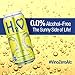 H2o Sauvignon Blanc – Silky & Smooth | 0.0% Alcohol Wine-Infused Sparkling Refreshment | Non-Alcoholic, Low Calorie, No Sugar Added | Backed by Scientific Research | 12 x 12 fl oz Cans