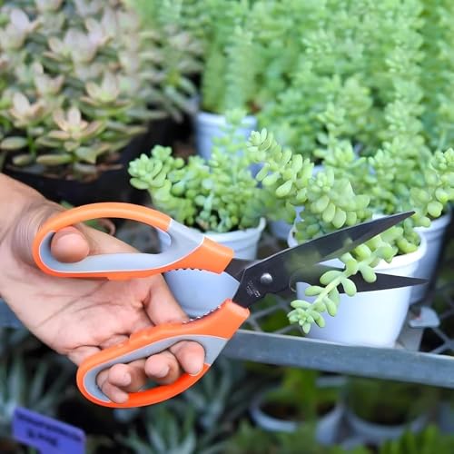 Image of Plant Scissors for Home Gardening, Non-Slip Handle with Easy Grip, Rust-Resistant, Heavy-Duty, Ideal for Trimming, Cutting, Cracking Nuts & Bottle Opener