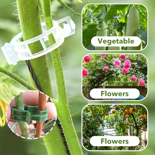 60 pcs Plant Support Clips Orchid Clips with Garden Cable Ties & Plant Tape Plastic Garden Plant Clips for Climbing Plants Flower Plastic Vine Clips Tomato Plant Support with Ties (Set A) - Image 3