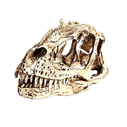 Statues de crâne de dinosaure en résine pour bricolage et ornements d'Halloween