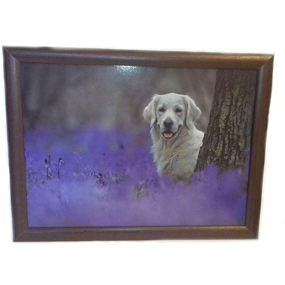 Plateau coussin labrador dore pour travailler confortablement sur le canape