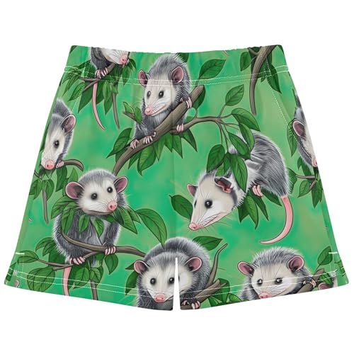 Girls Pajama Cute Opossums Animal Green Youth Summer Fashion Activewear, Personalized Kids Athletic Shorts, X-Small - Main Image