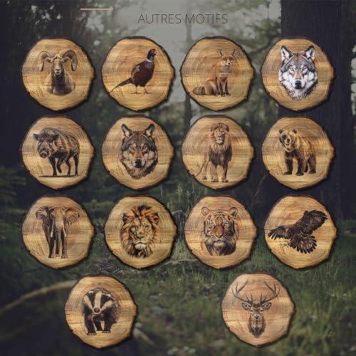 Impression art cerf DARO Design 20 cm - Tableau faune haute définition - 6