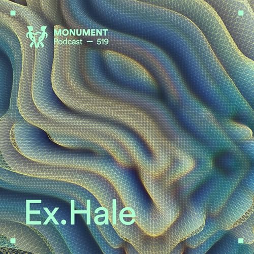 MNMT 519 : Ex.Hale