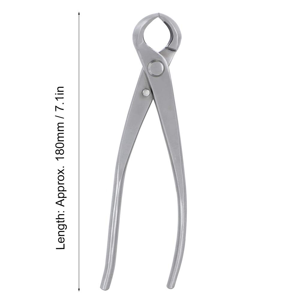 Keenso Ciseaux à boule concave en acier inoxydable pour les amateurs de bonsaï, outil de jardin durable pour couper les petites formes de bonsaï
