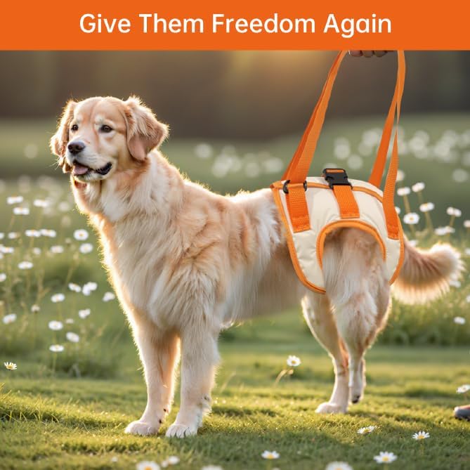 Miniatura 6 de Arnés paralizado para perro con soporte para patas traseras, cabestrillo para perro de tamaño mediano, arnés de elevación ajustable, soporte para